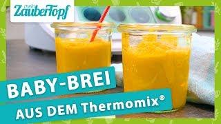 Selbstgemachter Babybrei aus dem Thermomix® So EINFACH gehts 