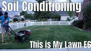 DIY How to fix compact clay soil shallow roots dog urine spots and dead grass. This is my lawn