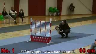 Danish Championships 2014 in Rabbit Hopping - High Jump - TOP 10