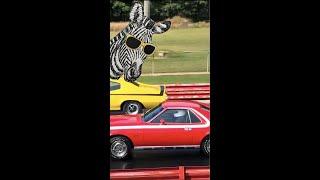 1970 Buick GSX vs 1970 AMC AMX #shorts