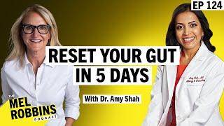 Reset Your Gut in 5 Days A Medical Doctor’s Step-by-Step Protocol to Transform Your Health