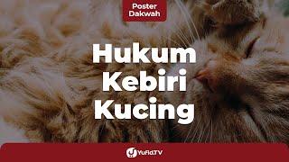 Steril Kucing Jantan Hukum Kebiri Kucing Jantan dalam Islam - Poster Dakwah Yufid TV