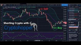 Short Selling Cryptocurrencies on Binance via CryptoHopper Automated Trading Bot