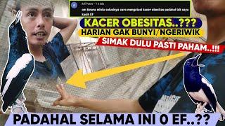 PAHAMI DARI SINI ⁉️ KACER NGERIWIKTIDAK BUNYI FAKTOR INI BISA DENGAN CARA SEPERTI INI