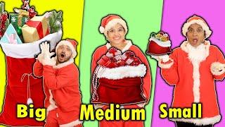 Big Vs Medium Vs Small Christmas Challenge  Hungry Birds