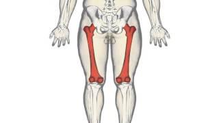 Front View – Bike Fitting your Body Good Knee Alignment