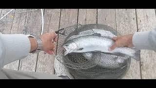 amazing fishing  ajoyip baliq ovi  отличная рыбалка  #fishing #рыбалка