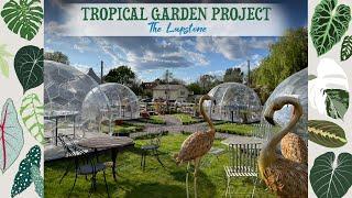 Im Designing A Tropical Garden For My Local Pub ️