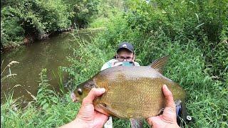 Трофейные Лещи на Мормышку в Микро-Речке Рекорд Побит#мормышинг#fishing#наноджиг#рыбалка