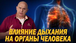 Функциональная анатомия Правильное дыхание и его влияние на здоровье внутренних органов человека