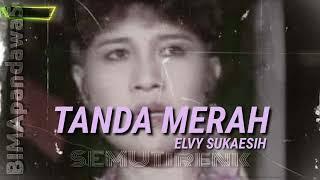 TANDA MERAH _ ELVY SUKAESIH  LIRIK 