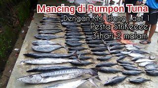 Mancing di Rumpon Tuna