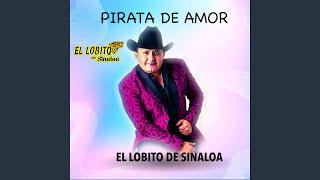 Pirata De Amor