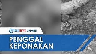 Akibat Sengketa Lahan Seorang Paman Bunuh Keponakannya secara Sadis di Dusun Pangangpusang Gowa