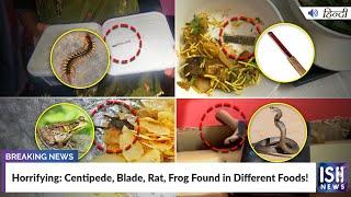 Horrifying Centipede Blade Rat Frog Found in Different Foods  ISH News