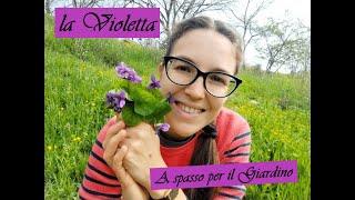 A SPASSO PER IL GIARDINO LA VIOLETTA - Il Giardino