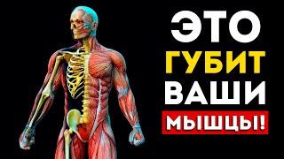 Эти 5 вещей ГУБЯТ ваши мышцы Это нужно знать