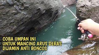 Mancing wader pakai umpan yang sudah teruji jitu Mancing wader arus deras teknik kumbul