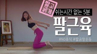 짧고 굵게️ 5분만에 탄탄한 팔근육 만드는 운동 NO쉬는시간