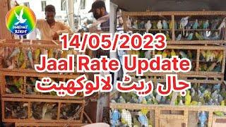 Lalukhet Birds Market Jaal Rate Latest Update 14052023  Dhedhi Birds