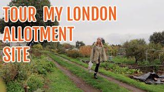 TOUR OF A LONDON ALLOTMENT SITE  ALLOTMENT GARDENING FOR BEGINNERS