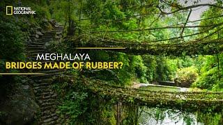 Meghalaya - Bridges Made of Rubber?  India from Above  हिन्दी  National Geographic