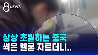 상상 초월하는 중국 썩은 멜론 자르더니..  SBS 8뉴스