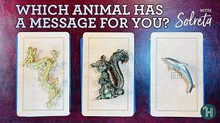 Which animal has a message for you?  PICK-A-CARD MONDAYS