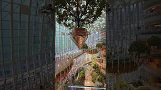 Vertical botanical garden combined with shopping mall. The Ring 光环购物公园.