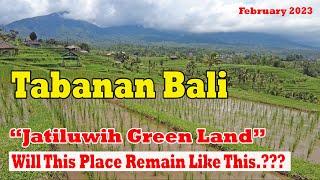Jatiluwih Green Land.. Will This Place Remain Like This ..??? Tabanan Bali February 2023