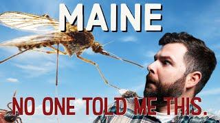 No One Will Talk About This  Living In Maine  Moving to Maine