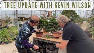 Tree Update With Kevin Wilson