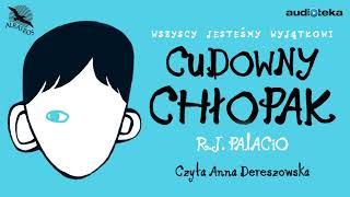 Cudowny chłopak  audiobook