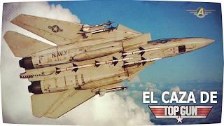 El caza de TOP GUN - Grumman F-14 Tomcat