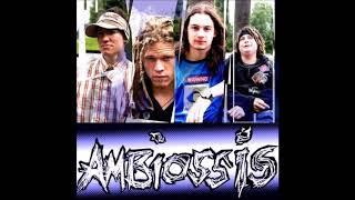 Ambiossis - Three Leaf Clover
