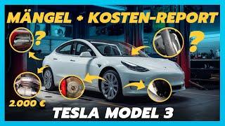 Tesla Model 3  Probleme Wartungskosten & Schwachstellen