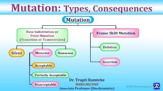 Mutation Types & Consequences  Molecular Biology  Biochemistry  NJOY Biochemistry