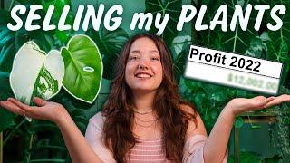 How I make Money selling Houseplants  Sales & Profit Analysis