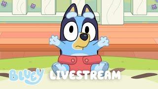 LIVE BLUEY FULL EPISODES LIVESTREAM