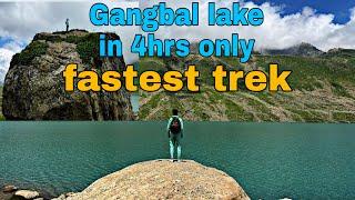 Gangbal lake The trekkers paradise  Motor Spirits  Ncs Music