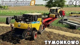Harvester transportation harvesting & sale triticale  Tymonkowo  Farming simulator 19  ep #46