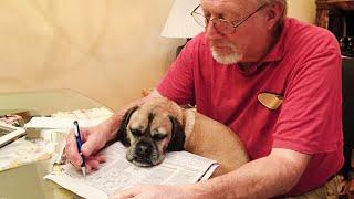 When a Dogs Love Warms an Elderly Heart - Cute Dog and Human Moments