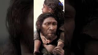 Exploring Denisovan Life on the Tibetan Plateau 160000 Years Ago