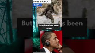 US Presidents on BIGFOOT  #aivoice #bigfoot #president