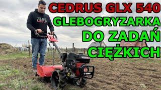 Glebogryzarka CEDRUS GLX 540 - Test Pracy wady i zalety