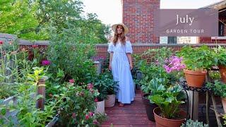 July Container Garden Tour  Rooftop Balcony Garden