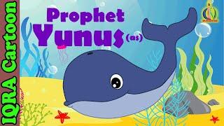 Prophet Stories YUNUS AS JONAH  Islamic Cartoon  Quran Stories  Islamic Kids Videos - Ep 14