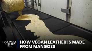 How Vegan Leather Is Made From Mangoes  World Wide Waste