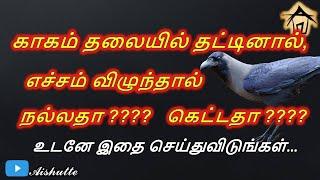 காகம் தலையில் தட்டினால் எச்சம் விழுந்தால் நல்லதா? கெட்டதா?   Crow hit on head - good or bad?