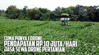 Pendapatan 10 Juta Per Hari Hanya dengan 1 Drone  Bisnis Sewa Drone Pertanian 